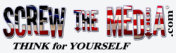 STM Small Logo