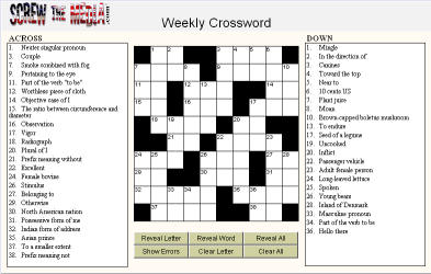 STM Crossword